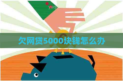 欠网贷5000块钱怎么办