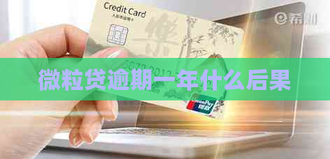 微粒贷逾期一年什么后果