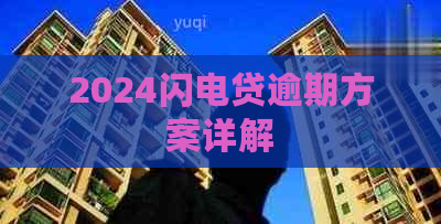 2024闪电贷逾期方案详解