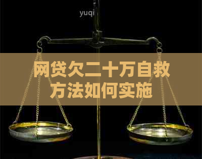 网贷欠二十万自救方法如何实施