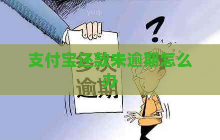 支付宝还款未逾期怎么办