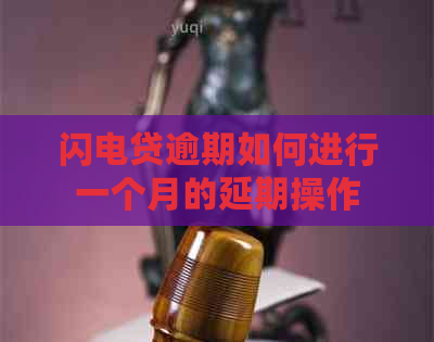 闪电贷逾期如何进行一个月的延期操作