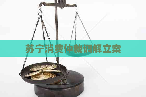 苏宁消费仲裁调解立案