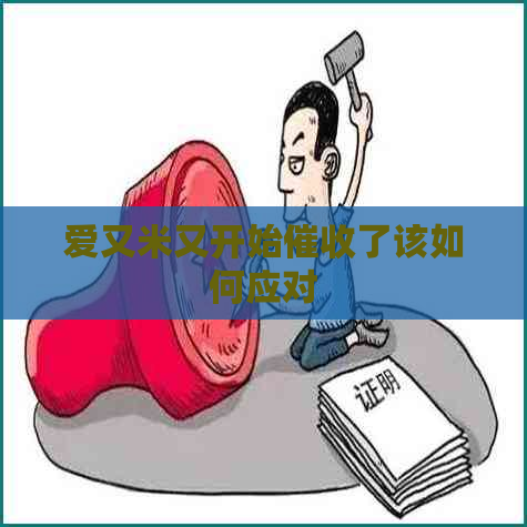 爱又米又开始了该如何应对