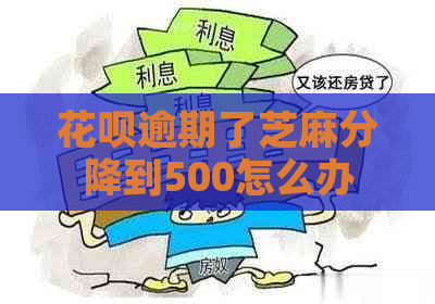 花呗逾期了芝麻分降到500怎么办