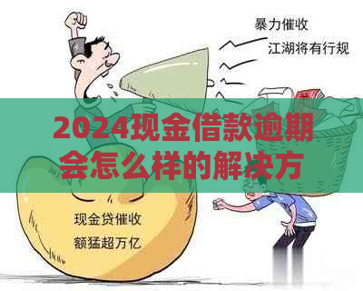 2024现金借款逾期会怎么样的解决方法