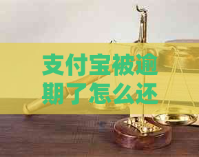 支付宝被逾期了怎么还花呗逾期怎么处理