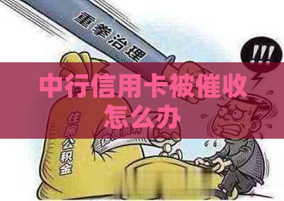 中行信用卡被怎么办