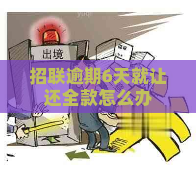 招联逾期6天就让还全款怎么办