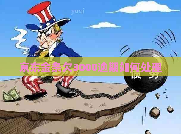 京东金条欠3000逾期如何处理