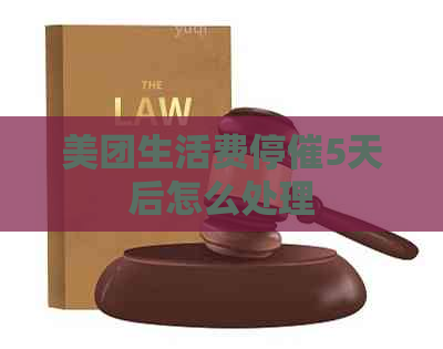 美团生活费停催5天后怎么处理