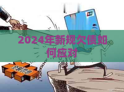 2024年新规欠债如何应对