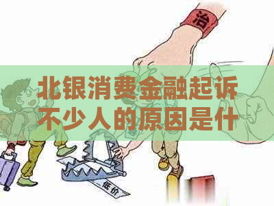 北银消费金融起诉不少人的原因是什么