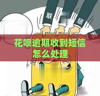 花呗逾期收到短信怎么处理