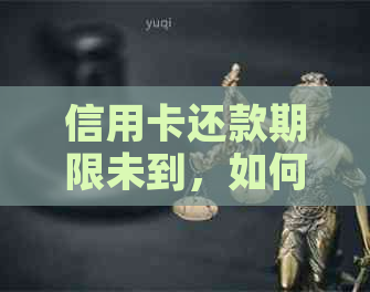 信用卡还款期限未到，如何与银行协商调整还款金额？