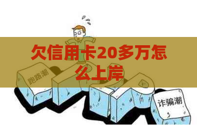 欠信用卡20多万怎么上岸