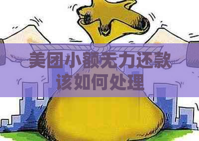 美团小额无力还款该如何处理