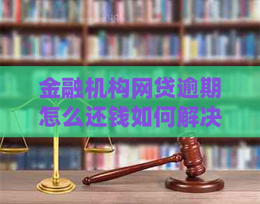 金融机构网贷逾期怎么还钱如何解决