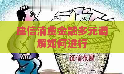 建信消费金融多元调解如何进行