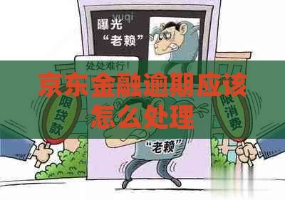 京东金融逾期应该怎么处理