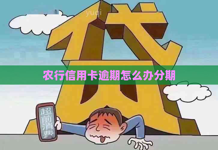 农行信用卡逾期怎么办分期