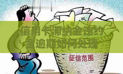 信用卡滞纳金违约金逾期如何处理