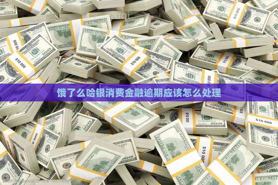 饿了么哈银消费金融逾期应该怎么处理