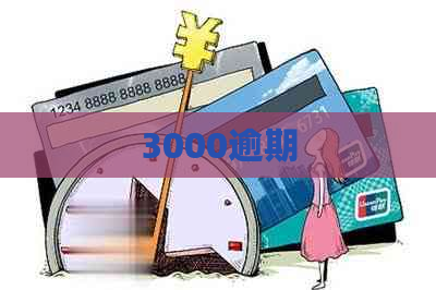 3000逾期