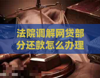 法院调解网贷部分还款怎么办理