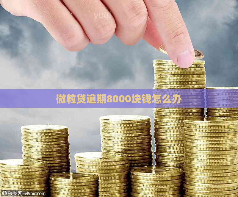 微粒贷逾期8000块钱怎么办