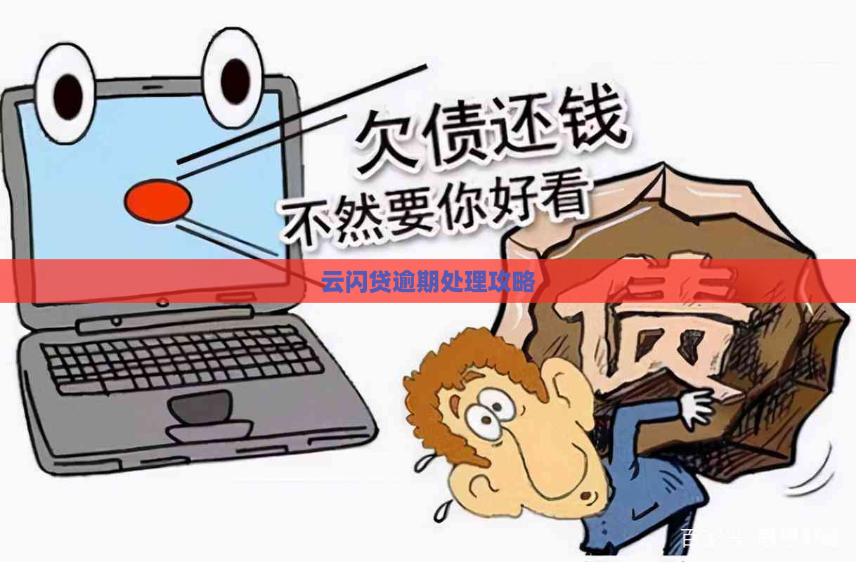 云闪贷逾期处理攻略