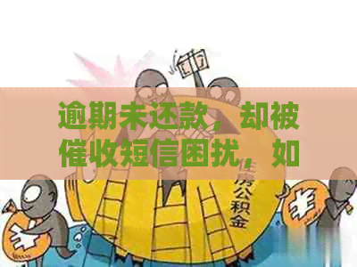 逾期未还款，却被短信困扰，如何处理信用卡问题？