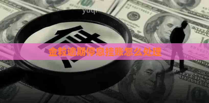 金粒逾期停息挂账怎么处理