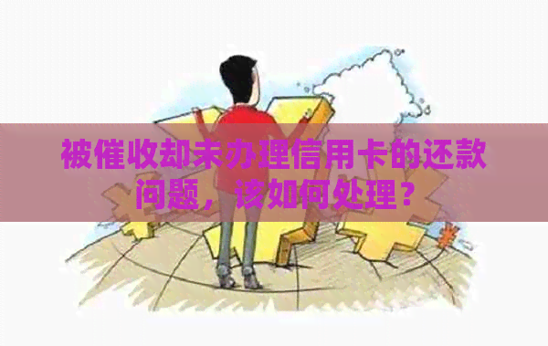 被却未办理信用卡的还款问题，该如何处理？