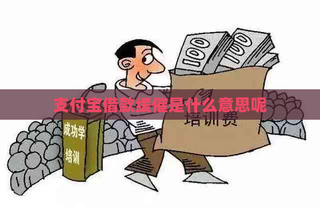 支付宝借款缓催是什么意思呢