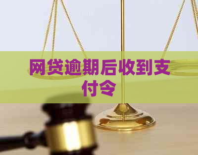 网贷逾期后收到支付令