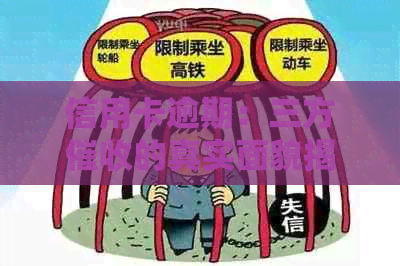 信用卡逾期：三方的真实面貌揭秘