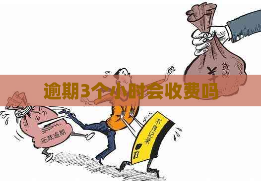 逾期3个小时会收费吗