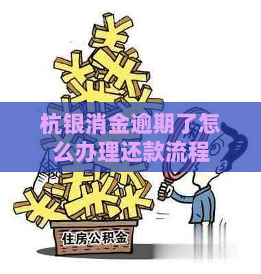 杭银消金逾期了怎么办理还款流程