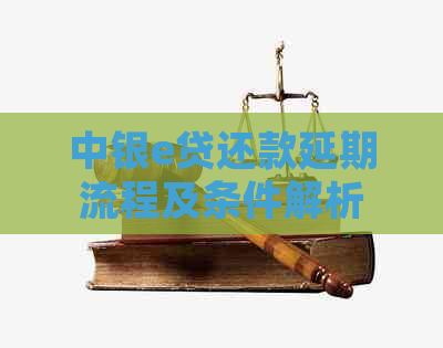 中银e贷还款延期流程及条件解析