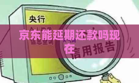 京东能延期还款吗现在