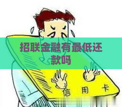 招联金融有更低还款吗