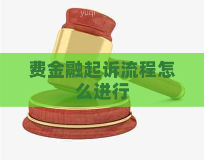 费金融起诉流程怎么进行