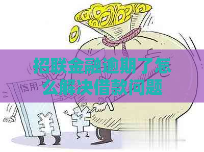 招联金融逾期了怎么解决借款问题