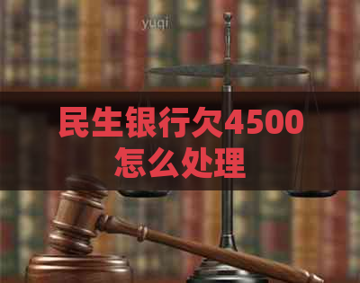 民生银行欠4500怎么处理