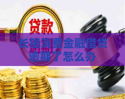 长银消费金融借贷逾期了怎么办