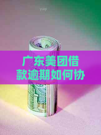 广东美团借款逾期如何协商还款