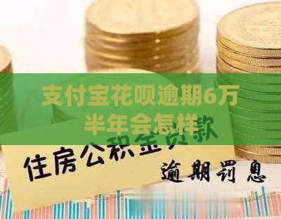 支付宝信用卡逾期6万半年会怎样