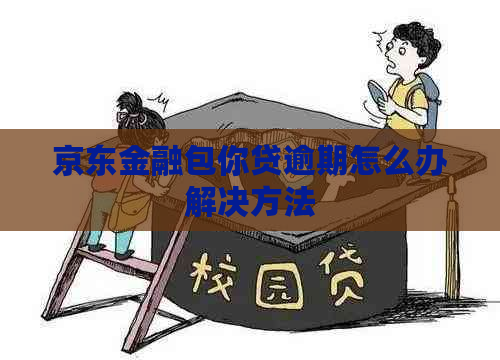 京东金融包你贷逾期怎么办解决方法