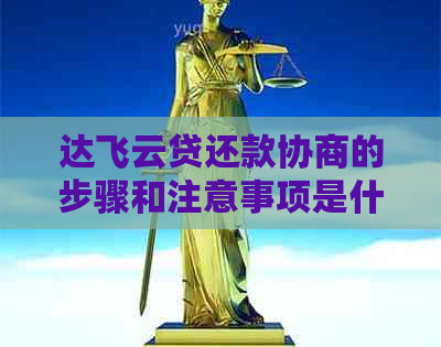 达飞云贷还款协商的步骤和注意事项是什么